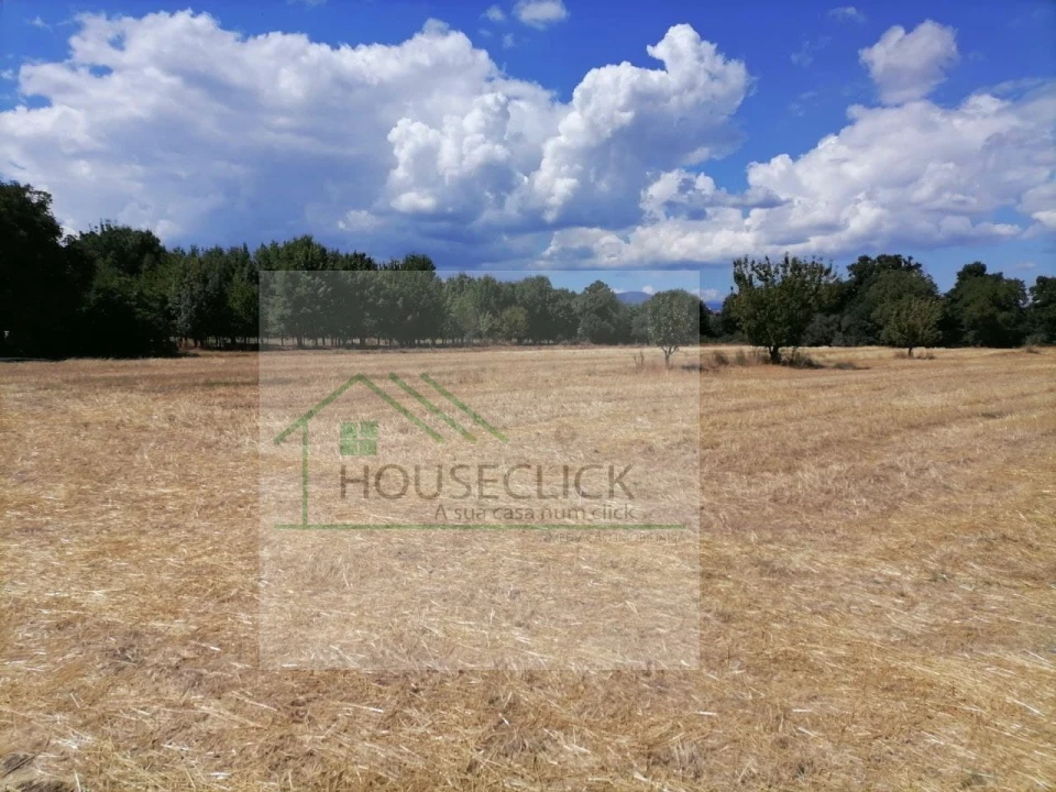 Terreno para Venda em Inguias Foto 6