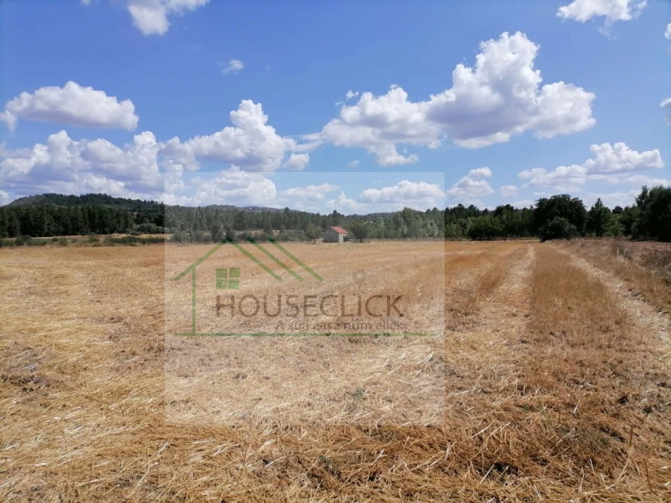 Terreno para Venda em Inguias Foto 9