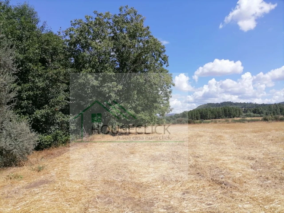 Terreno para Venda em Inguias Foto 10