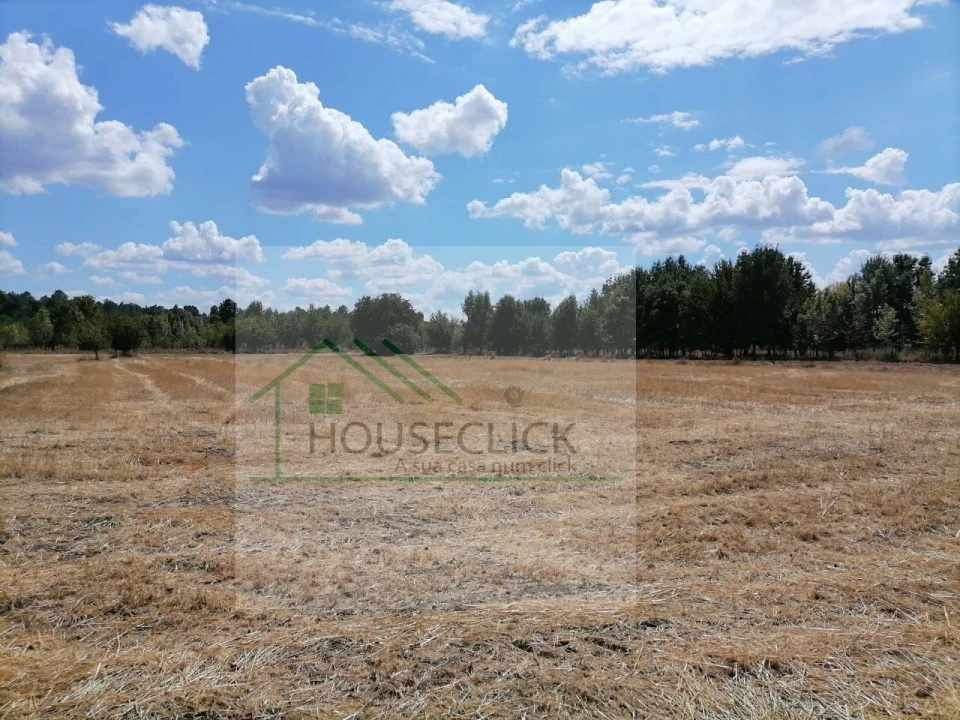 Terreno para Venda em Inguias Foto 12