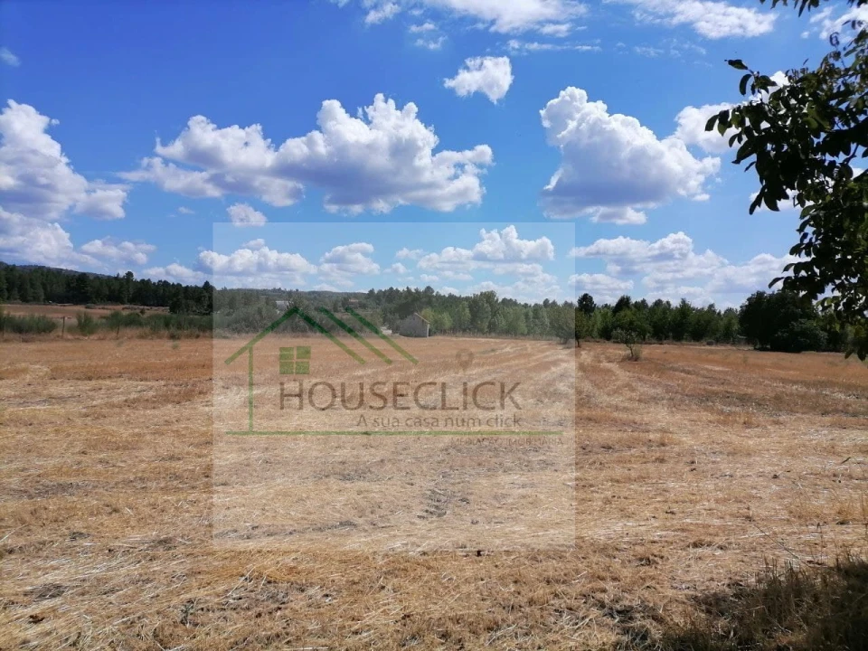 Terreno para Venda em Inguias Foto 14