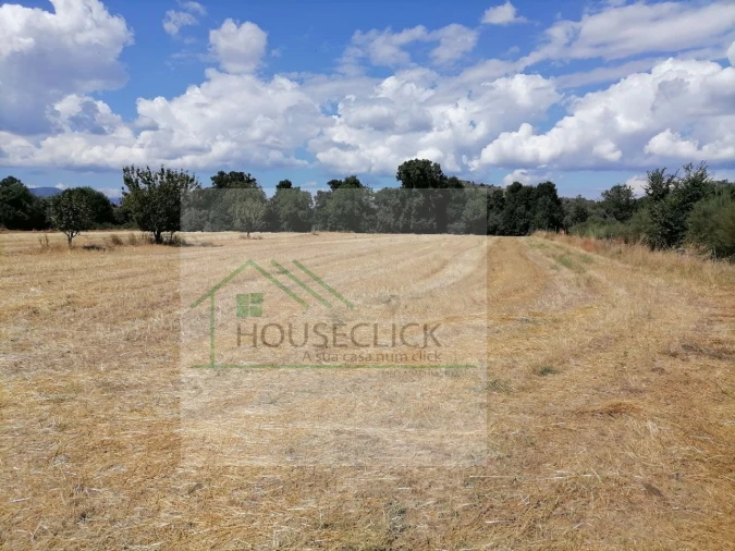 Terreno para Venda em Inguias Foto 4