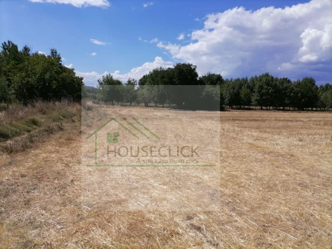 Terreno para Venda em Inguias Foto 5