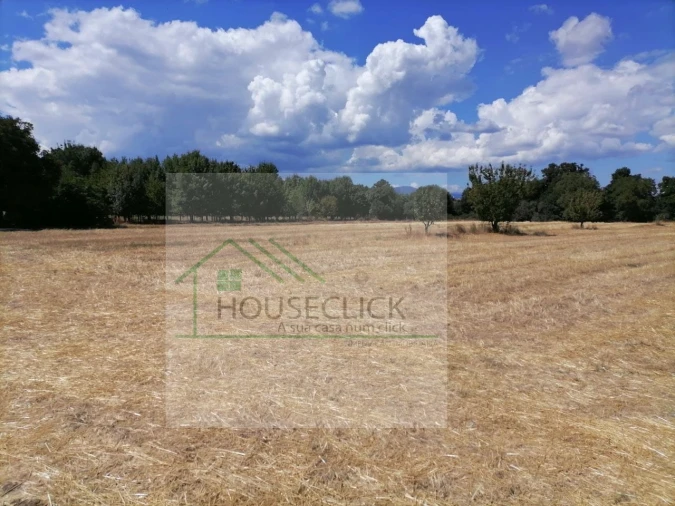 Terreno para Venda em Inguias Foto 6