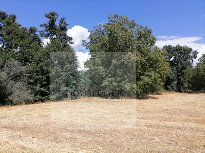 Terreno para Venda em Inguias Foto 8