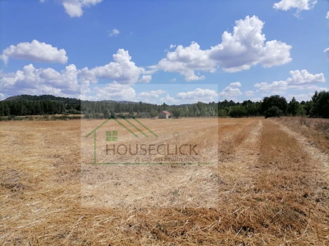 Terreno para Venda em Inguias Foto 9