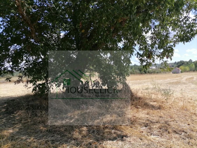 Terreno para Venda em Inguias Foto 13