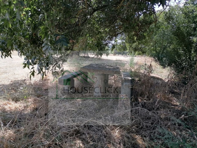 Terreno para Venda em Inguias Foto 15