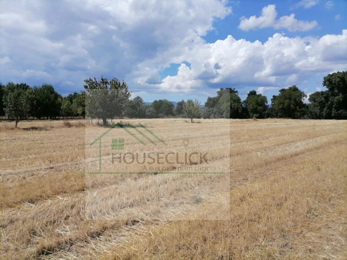 Terreno para Venda em Inguias Foto 18