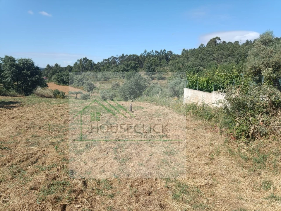 Terreno para Venda em Três Povos Foto 1