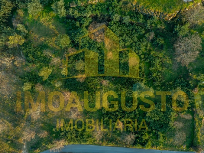 Terreno para Venda em Belmonte e Colmeal da Torre Foto 2