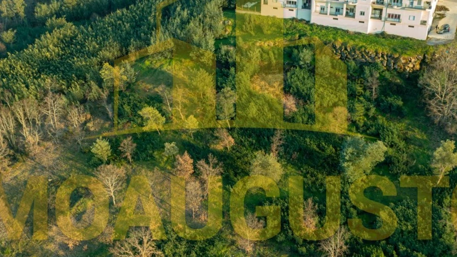 Terreno para Venda em Belmonte e Colmeal da Torre
