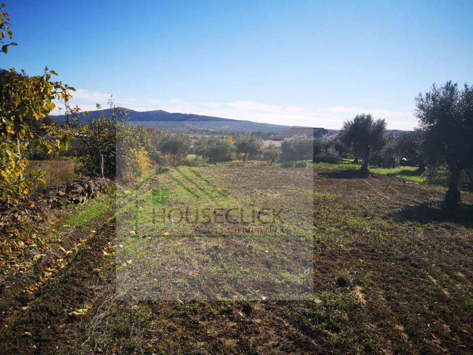 Terreno para Venda em Três Povos Foto 4