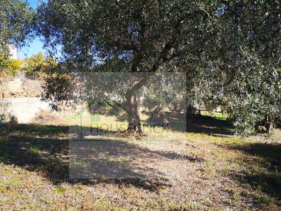 Terreno para Venda em Três Povos Foto 12