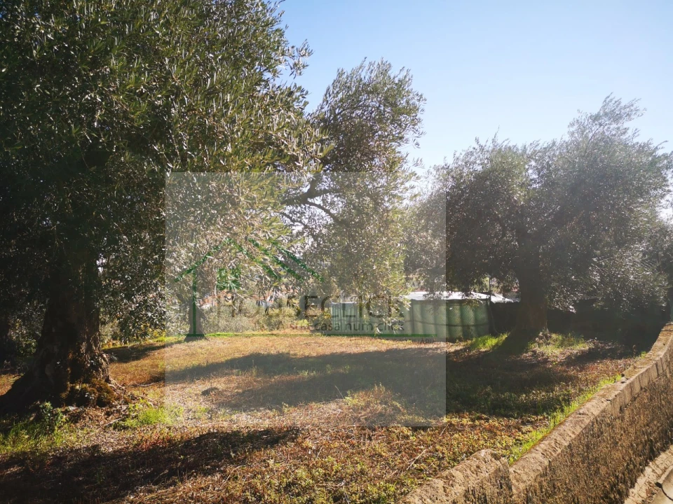 Terreno para Venda em Três Povos Foto 13