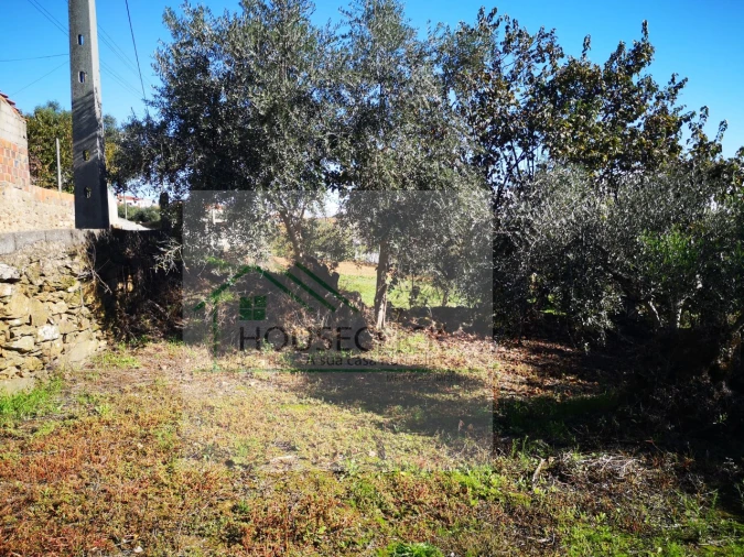 Terreno para Venda em Três Povos Foto 11