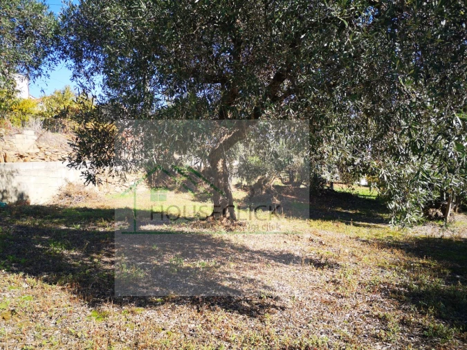 Terreno para Venda em Três Povos Foto 12