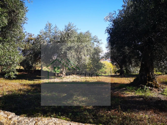 Terreno para Venda em Três Povos Foto 14