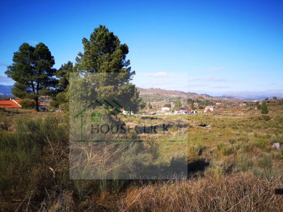 Terreno para Venda em Caria Foto 3