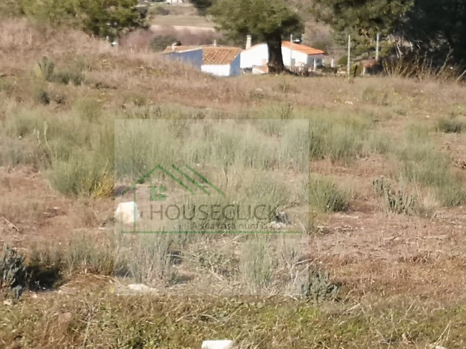 Terreno para Venda em Caria Foto 1