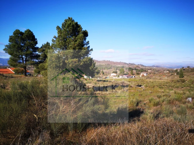 Terreno para Venda em Caria Foto 3