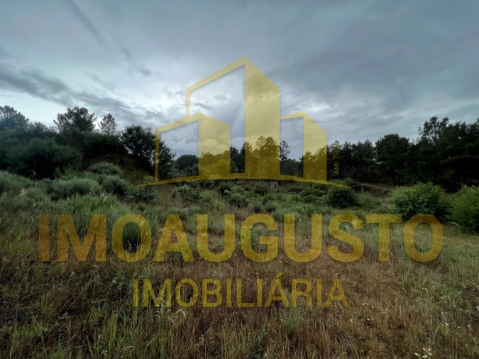 Terreno para Venda em Santana da Azinha Foto 3