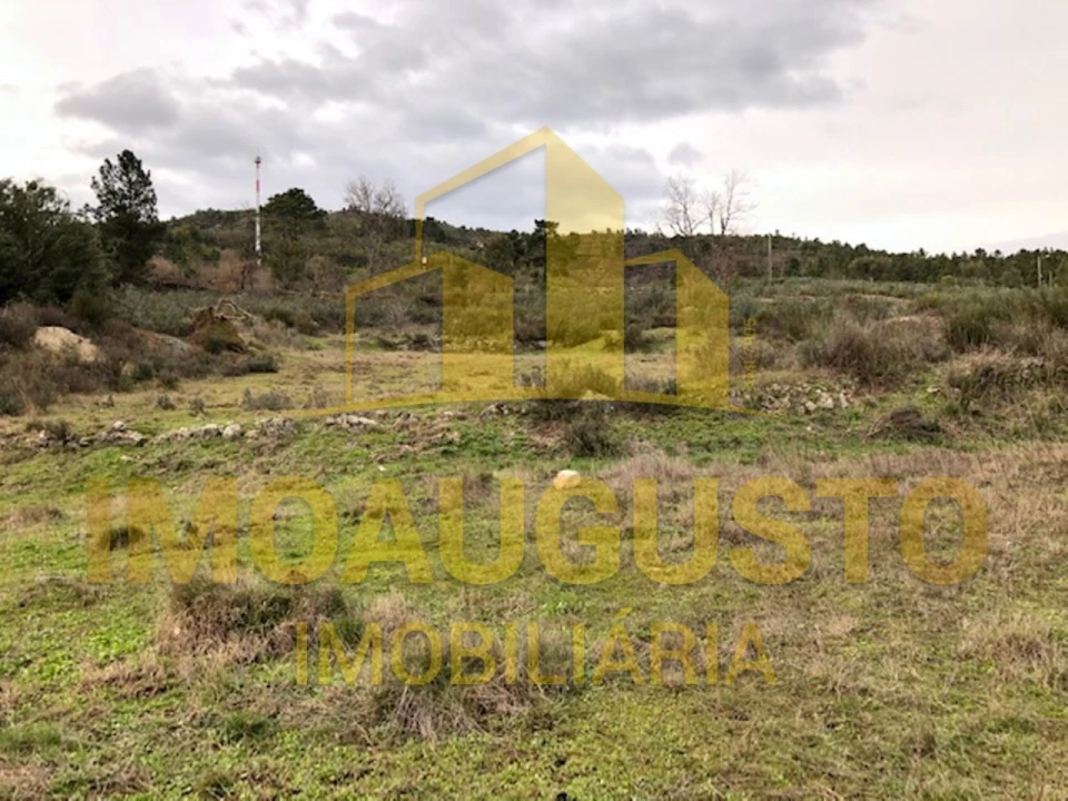 Terreno para Venda em Vela Foto 4