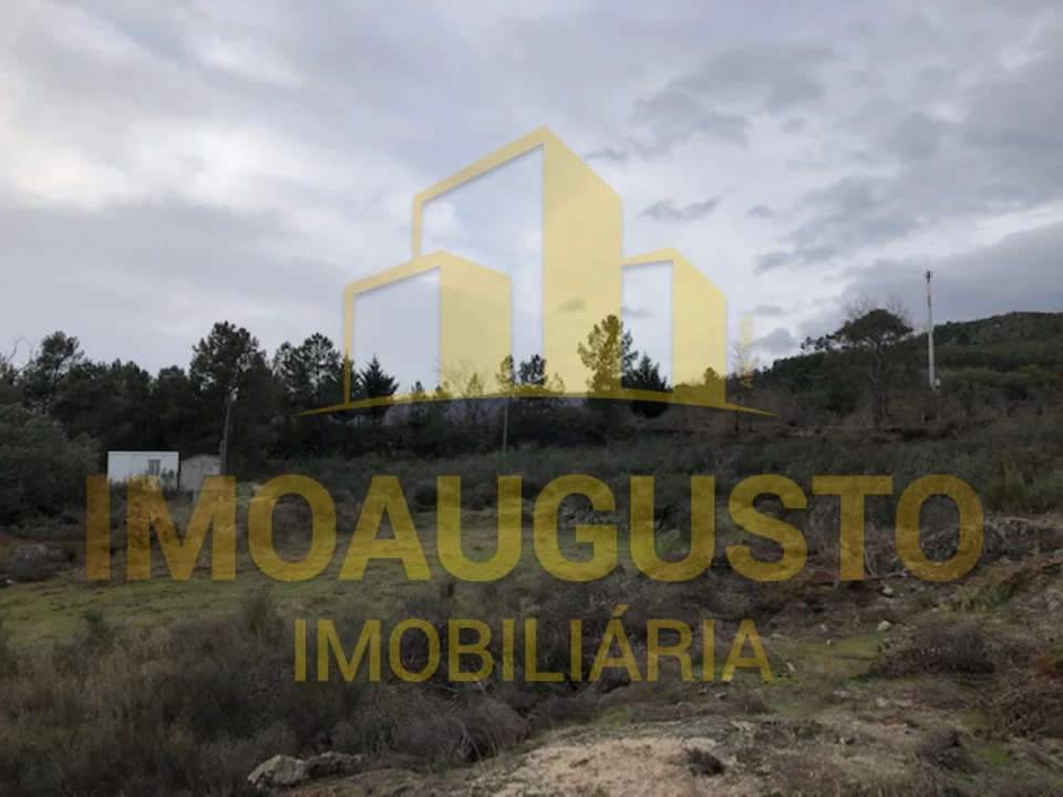 Terreno para Venda em Vela Foto 6