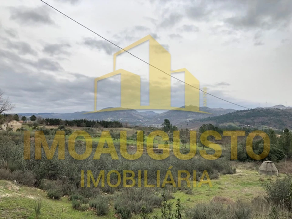 Terreno para Venda em Vela Foto 16