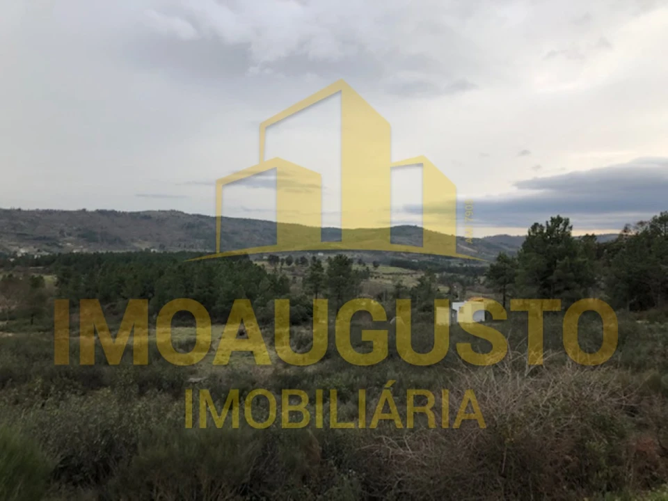 Terreno para Venda em Vela Foto 19