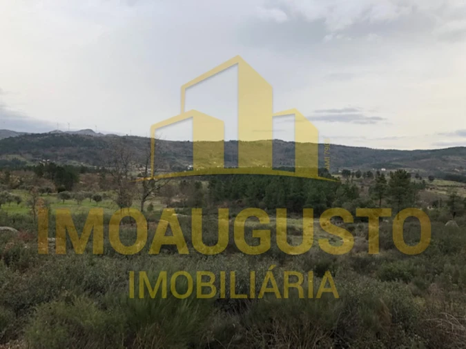 Terreno para Venda em Vela Foto 18