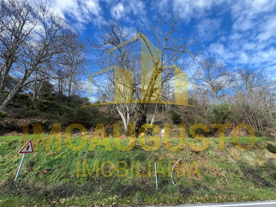 Terreno para Venda em Corujeira e Trinta Foto 8