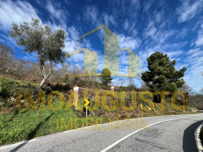 Terreno para Venda em Corujeira e Trinta Foto 1