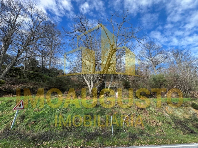 Terreno para Venda em Corujeira e Trinta Foto 8