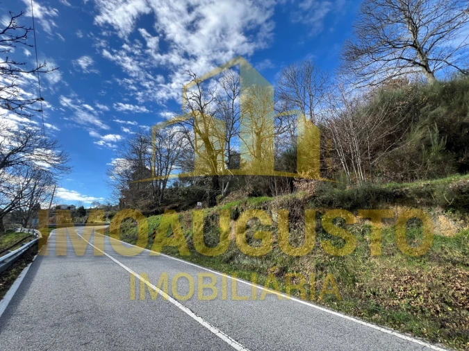 Terreno para Venda em Corujeira e Trinta Foto 9