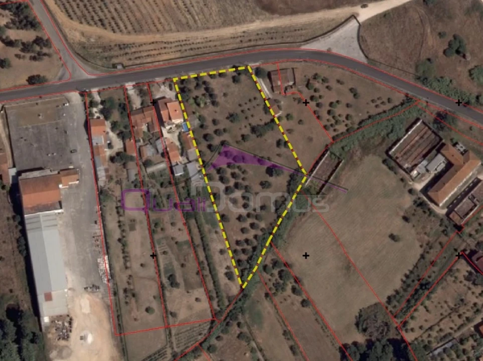 Terreno para Venda em Nossa Sra de Fatima Foto 3