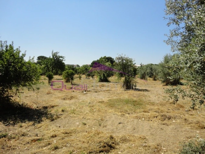 Terreno para Venda em Nossa Sra de Fatima Foto 1