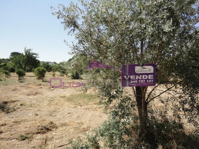 Terreno para Venda em Nossa Sra de Fatima Foto 2
