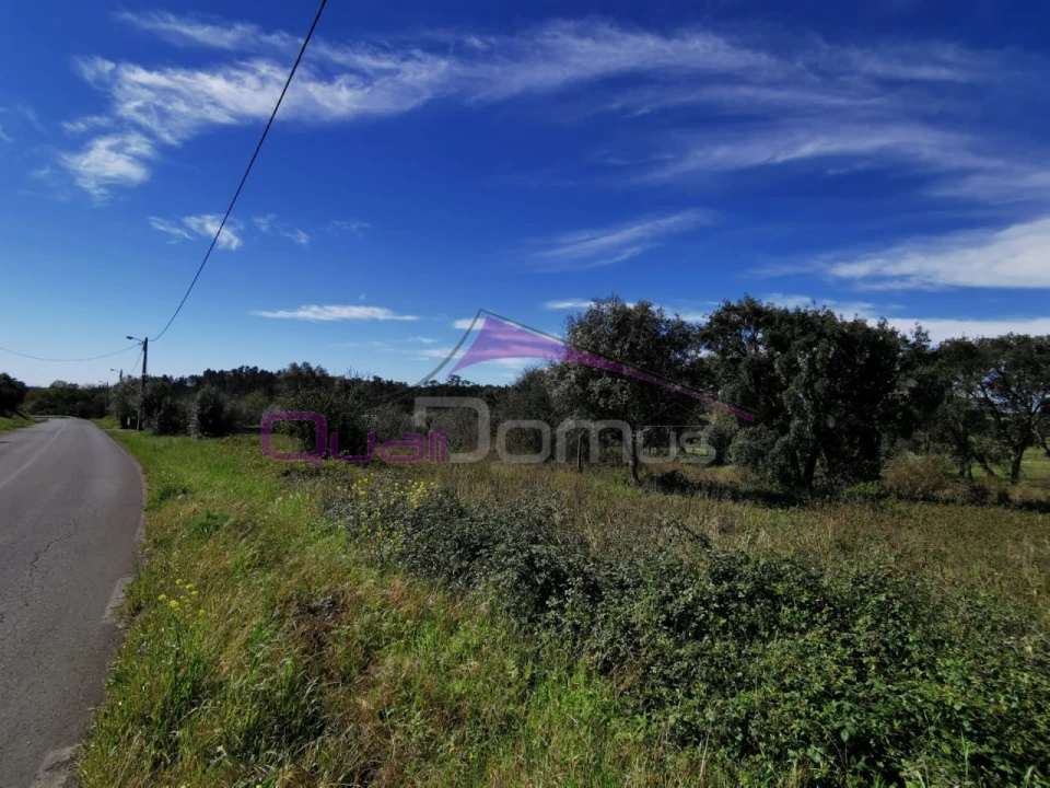 Terreno para Venda em Olaia e Paço Foto 1