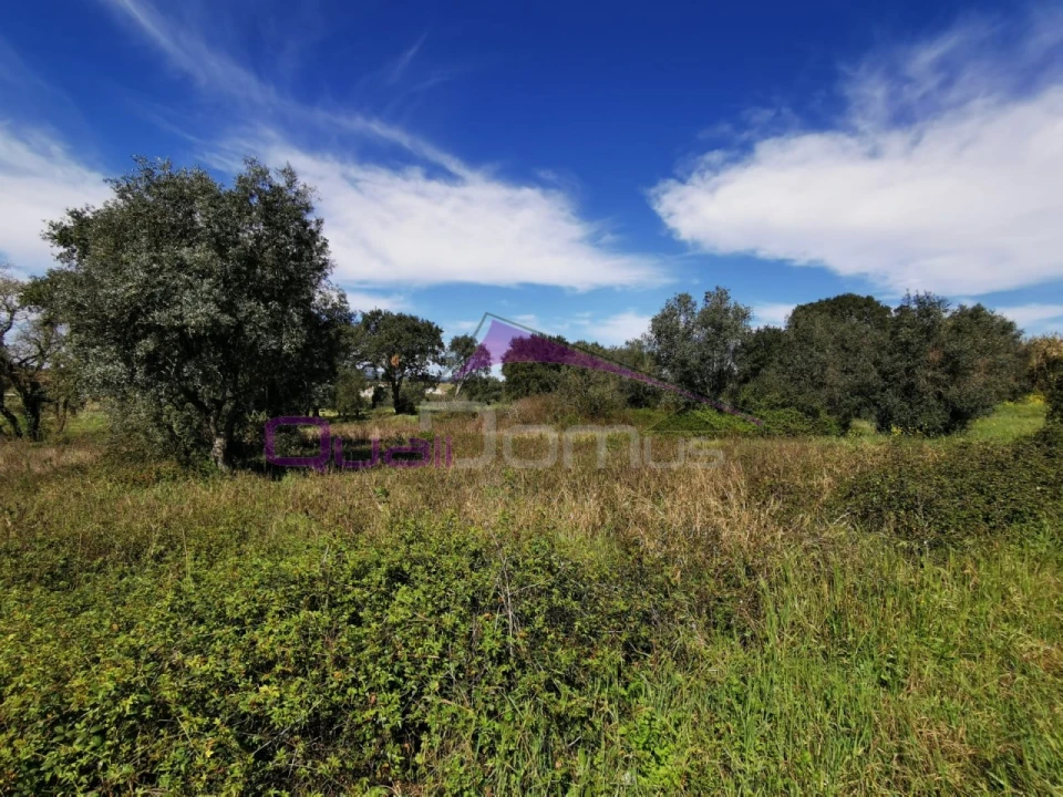 Terreno para Venda em Olaia e Paço Foto 4
