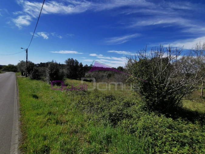 Terreno para Venda em Olaia e Paço Foto 2