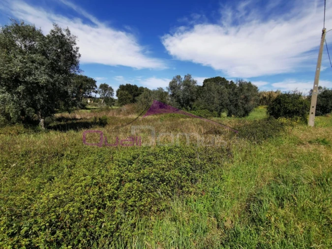 Terreno para Venda em Olaia e Paço Foto 3