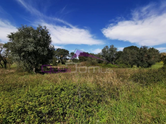Terreno para Venda em Olaia e Paço Foto 4