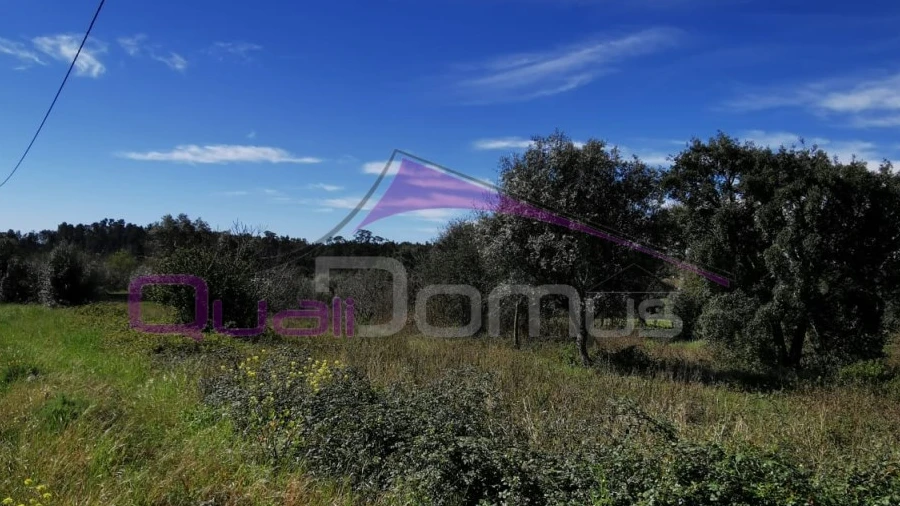 Terreno para Venda em Olaia e Paço