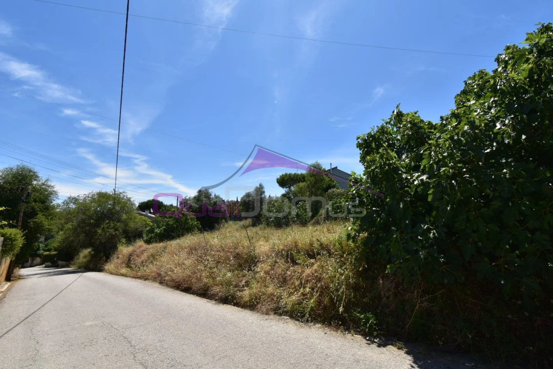 Terreno para Venda em Pedrogão Foto 2