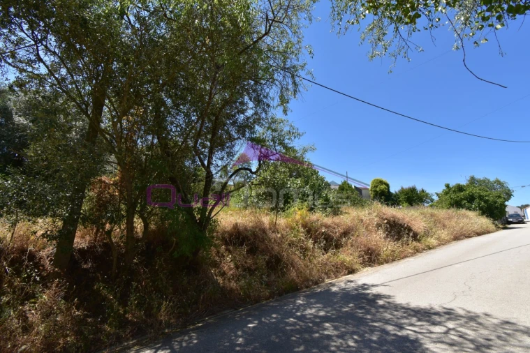 Terreno para Venda em Pedrogão Foto 1