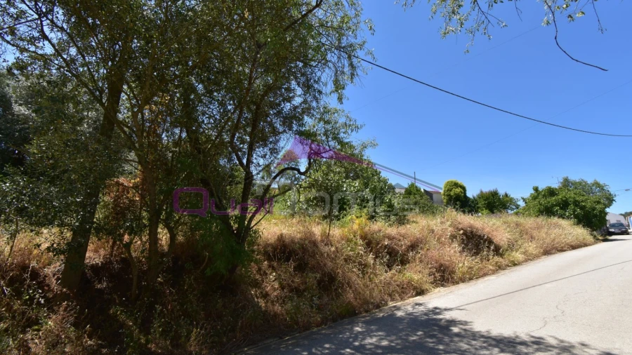 Terreno para Venda em Pedrogão