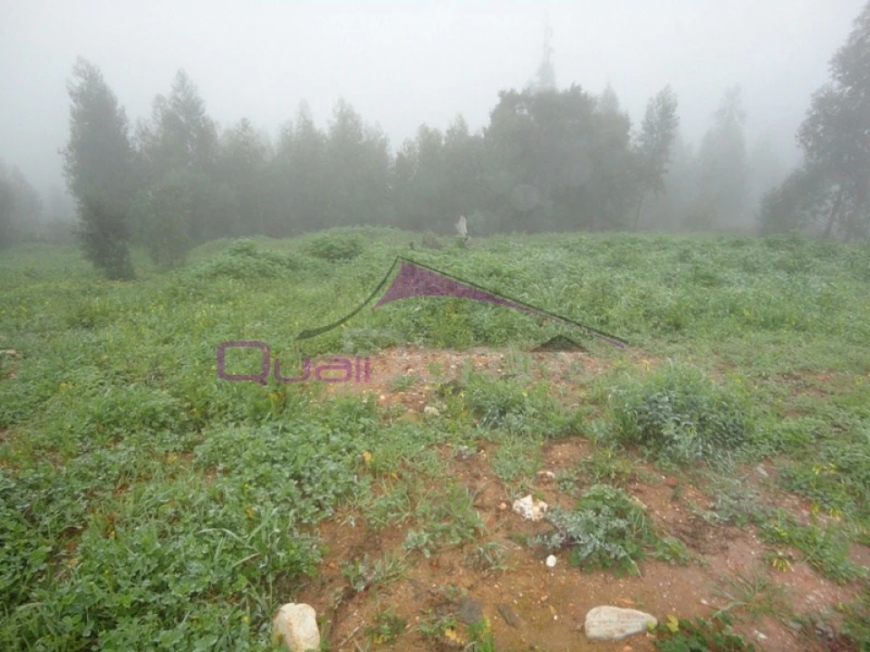 Terreno para Venda em Praia do Ribatejo Foto 1