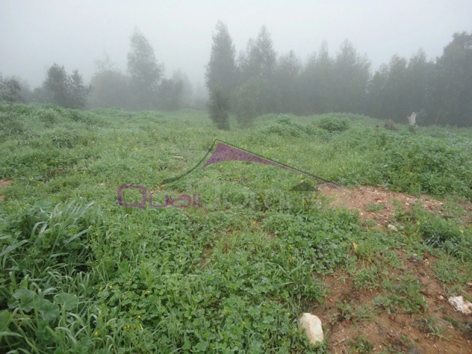 Terreno para Venda em Praia do Ribatejo Foto 2