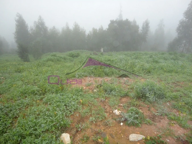 Terreno para Venda em Praia do Ribatejo Foto 1